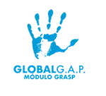 Global GAP GRASP